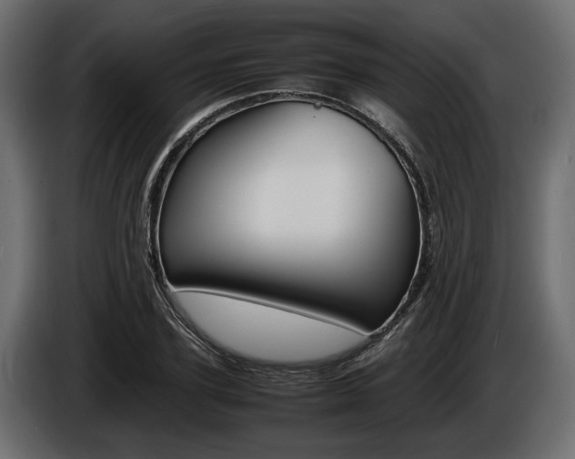 X0000086720931200704130725