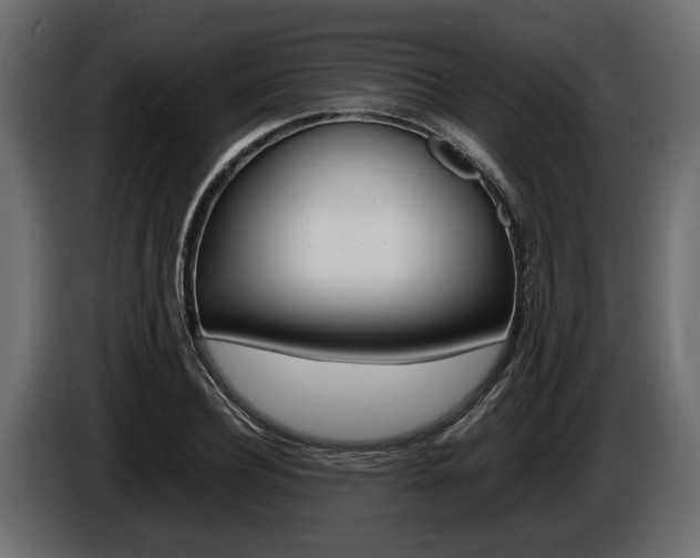 X0000086720932200704130725