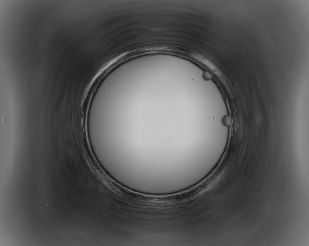 X0000086720933200704130725