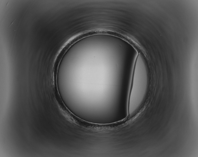 X0000086720934200704130725