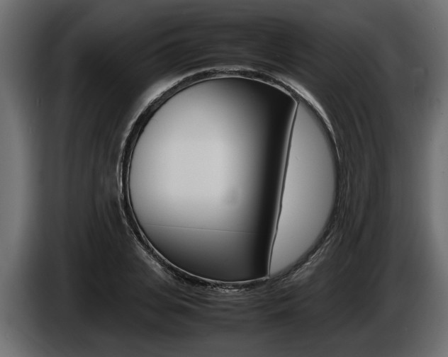 X0000086720935200704130725