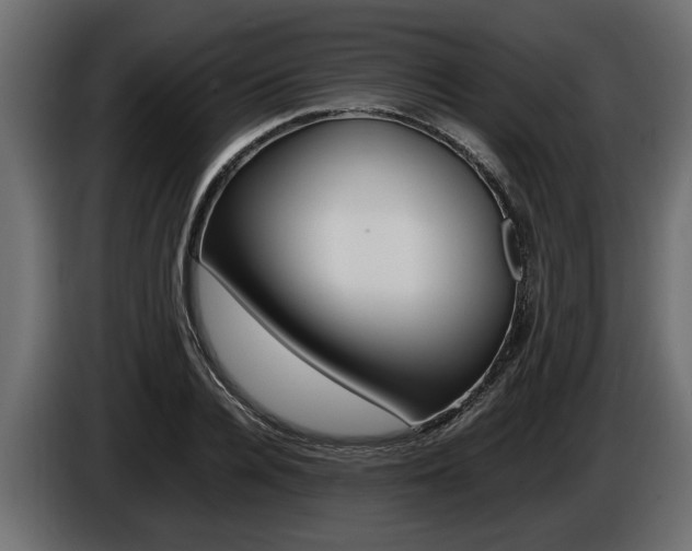 X0000086720936200704130725