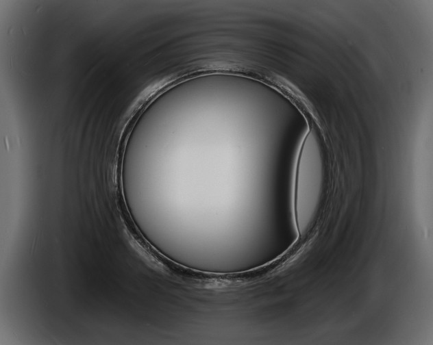 X0000086720938200704130725