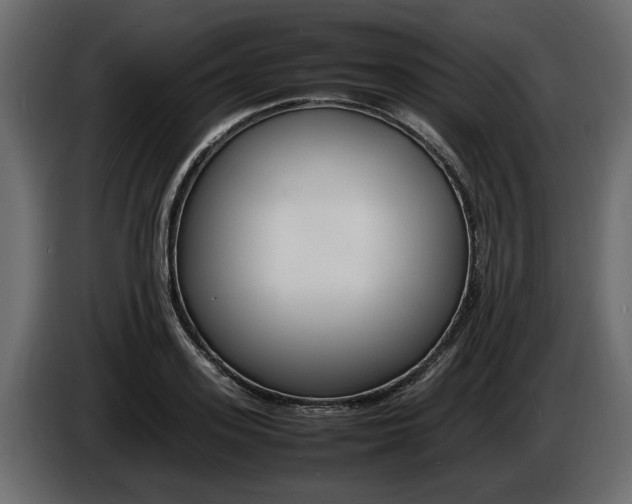 X0000086720939200704130725