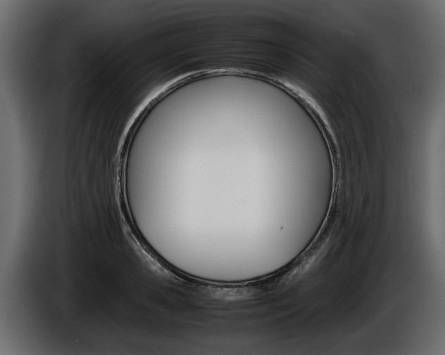 X0000086720941200704130725