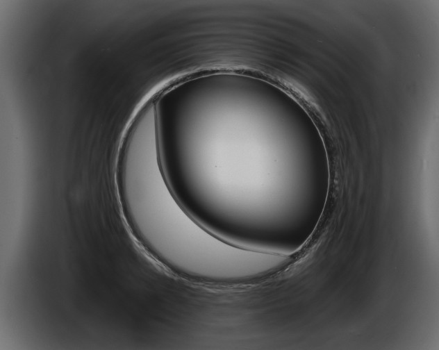 X0000086720942200704130725