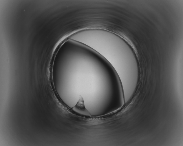 X0000086720944200704130725