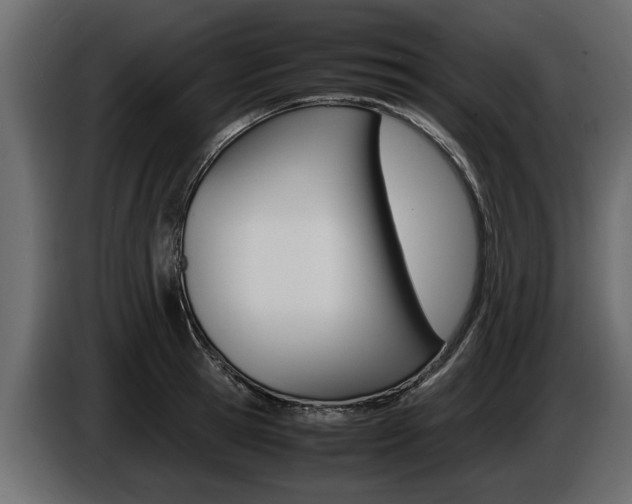 X0000086720945200704130725
