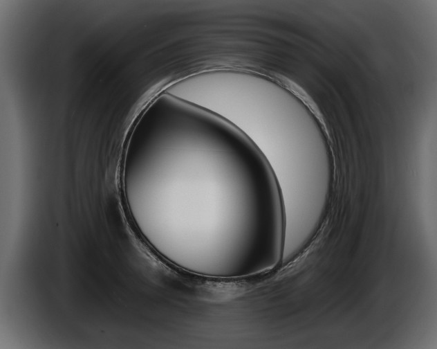 X0000086720946200704130725