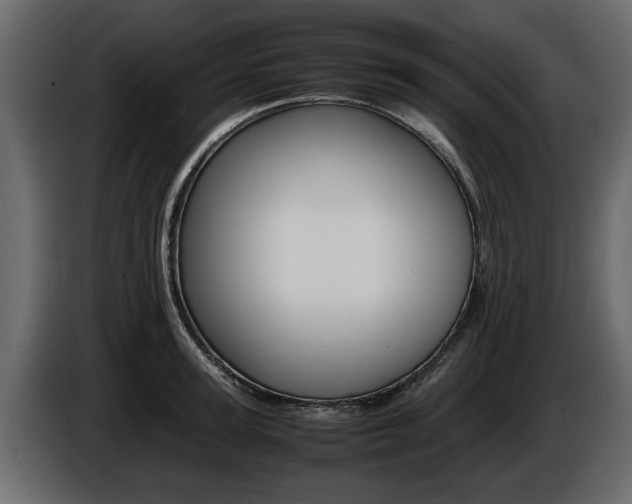 X0000086720947200704130725
