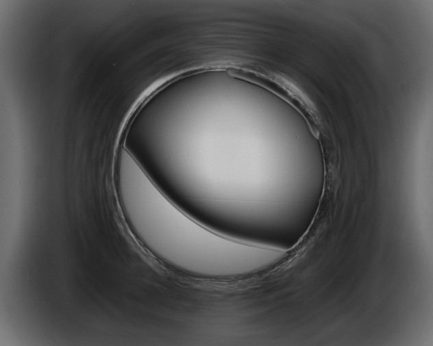 X0000086720948200704130725