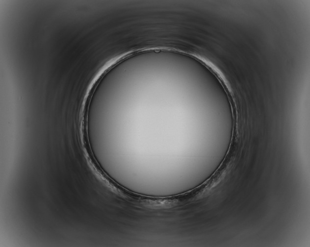 X0000086720949200704130725