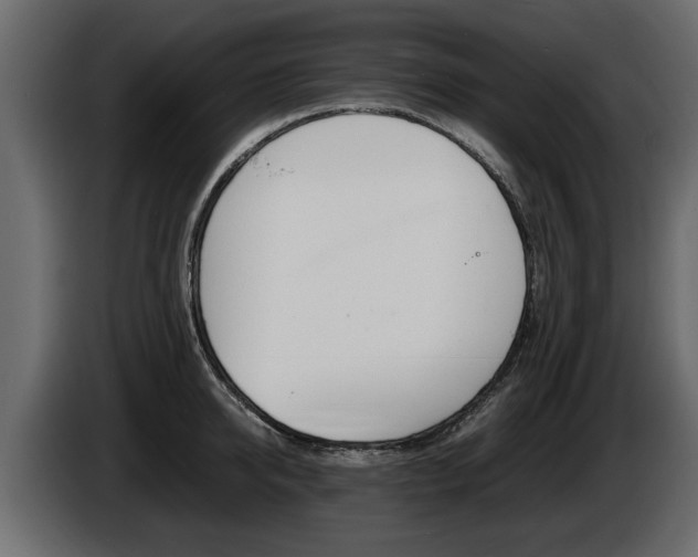X0000086720950200704130725