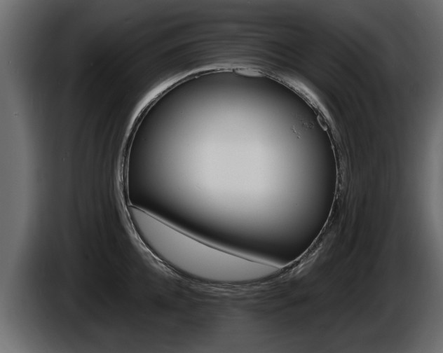 X0000086720952200704130725