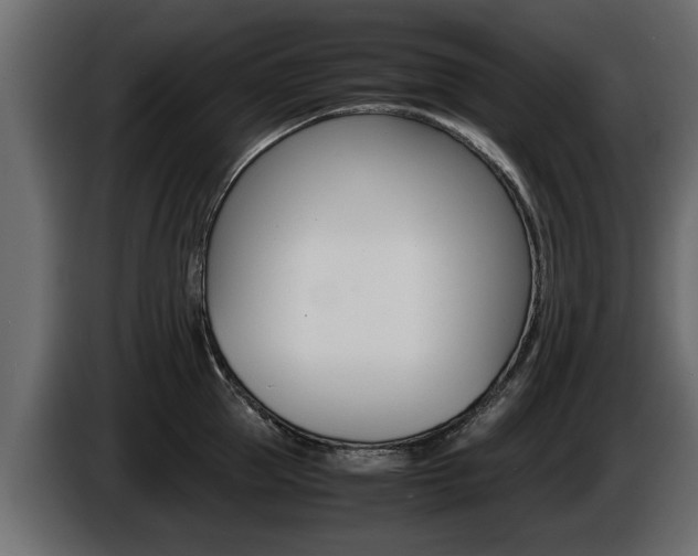 X0000086720953200704130725