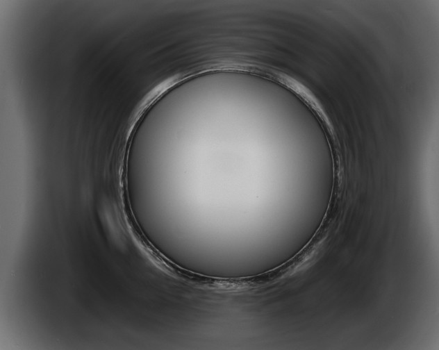 X0000086720954200704130725