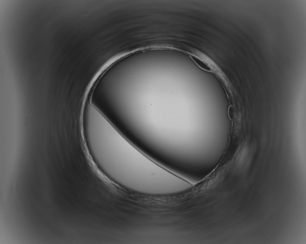 X0000086720955200704130725