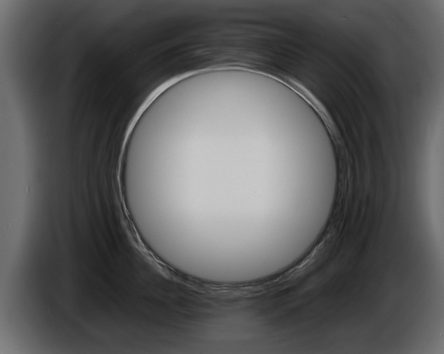 X0000086720956200704130725