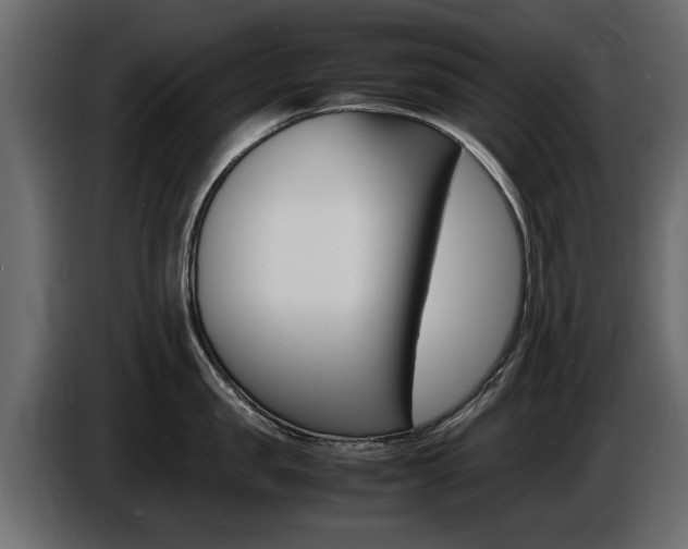 X0000086720957200704130725