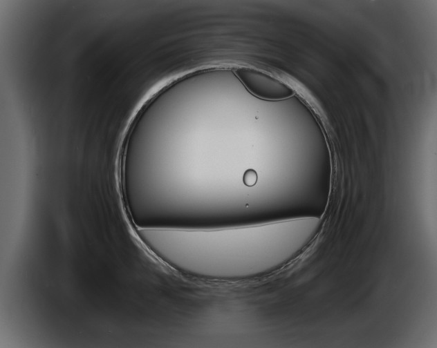X0000086720958200704130725
