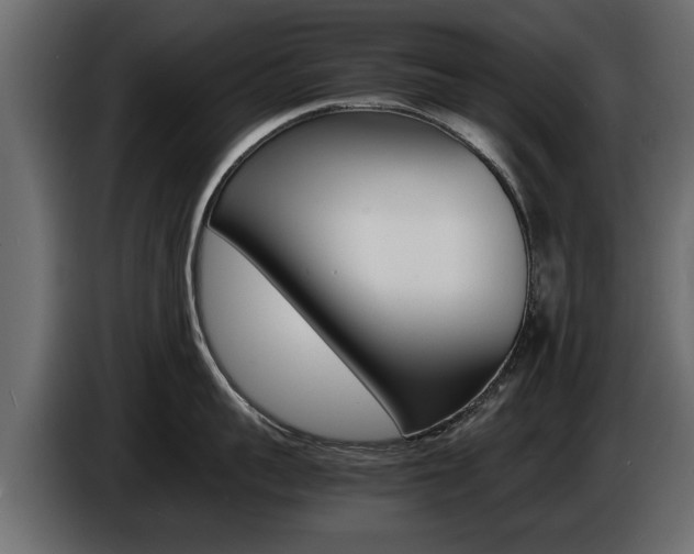X0000086720959200704130725