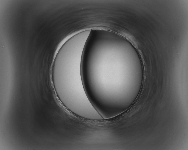 X0000086720960200704130725