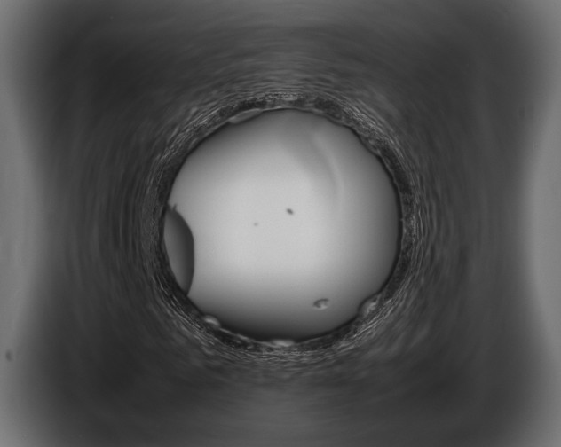 X0000086720961200704130725