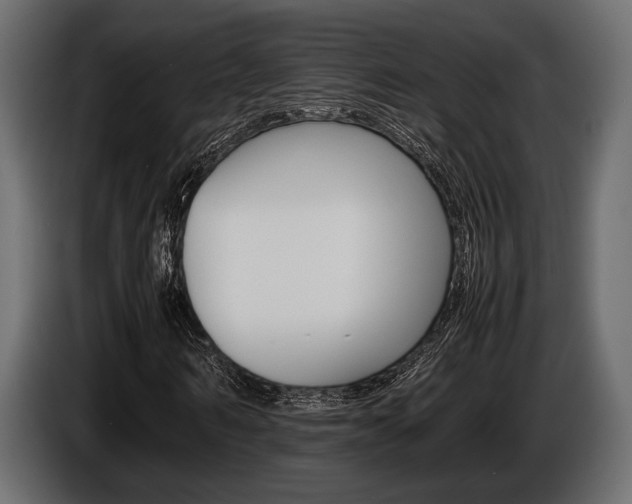 X0000086720962200704130725