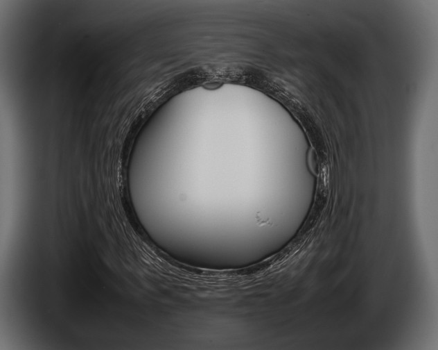 X0000086720963200704130725