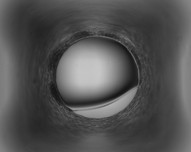X0000086720965200704130725