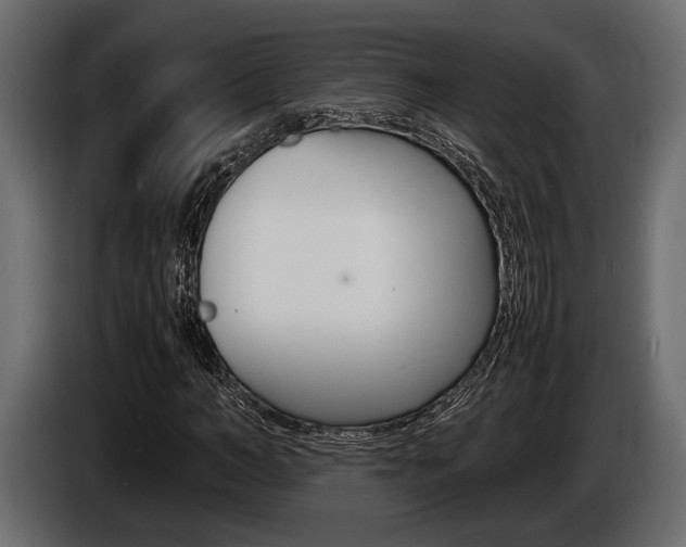 X0000086720966200704130725