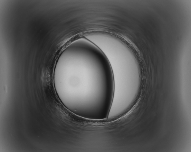 X0000086720969200704130725