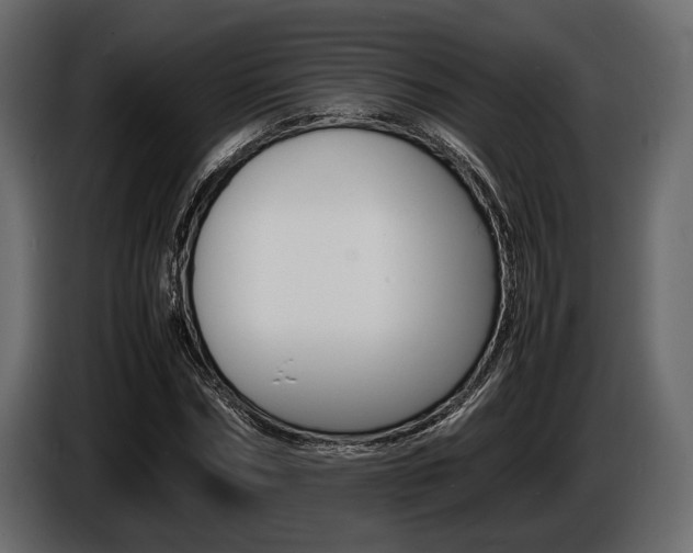 X0000086720970200704130725