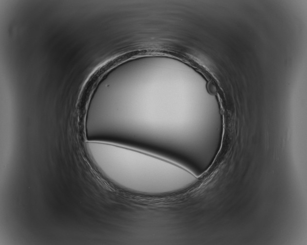 X0000086720971200704130725