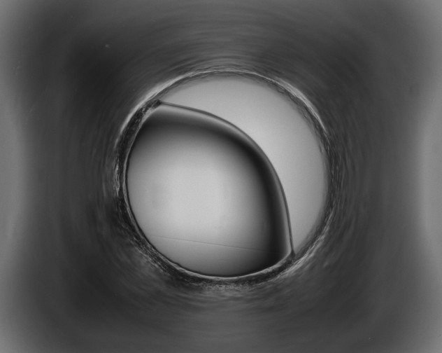 X0000086720973200704130725