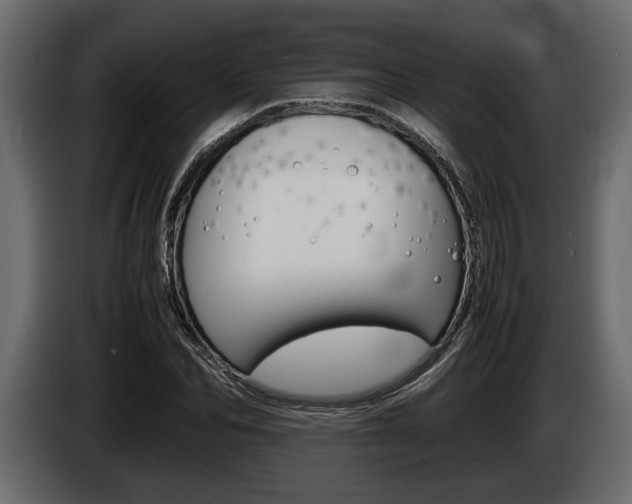 X0000086720974200704130725
