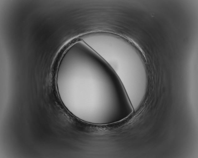 X0000086720975200704130725