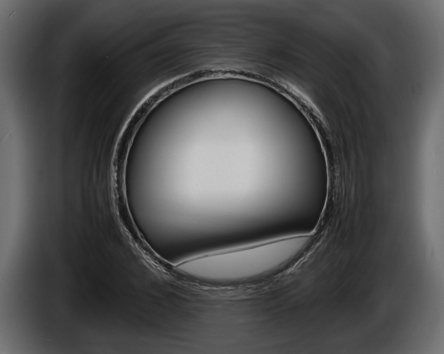 X0000086720976200704130725