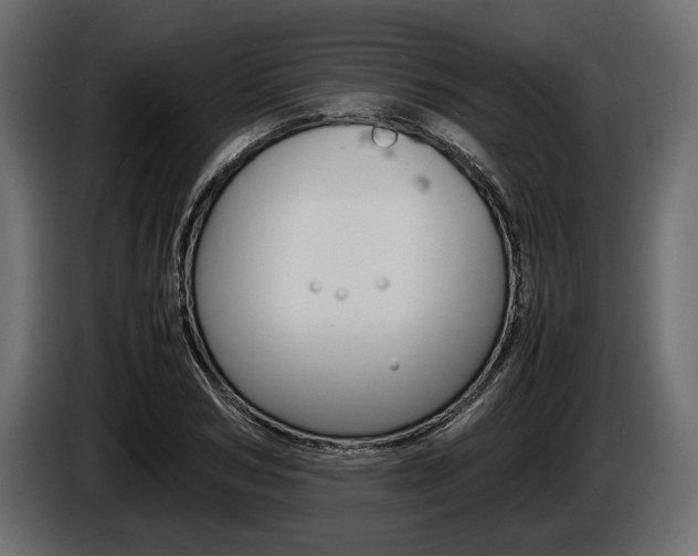 X0000086720978200704130725