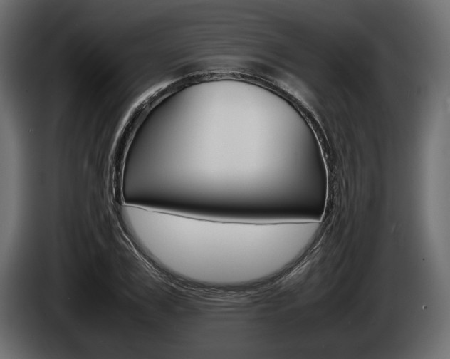 X0000086720979200704130725