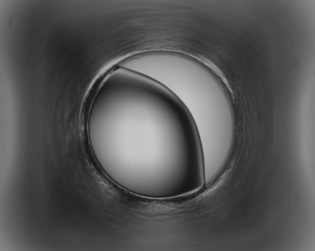 X0000086720981200704130725