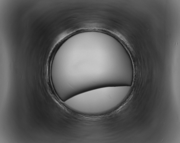 X0000086720982200704130725
