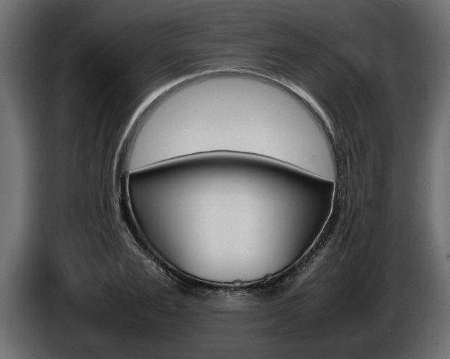 X0000086720983200704130725