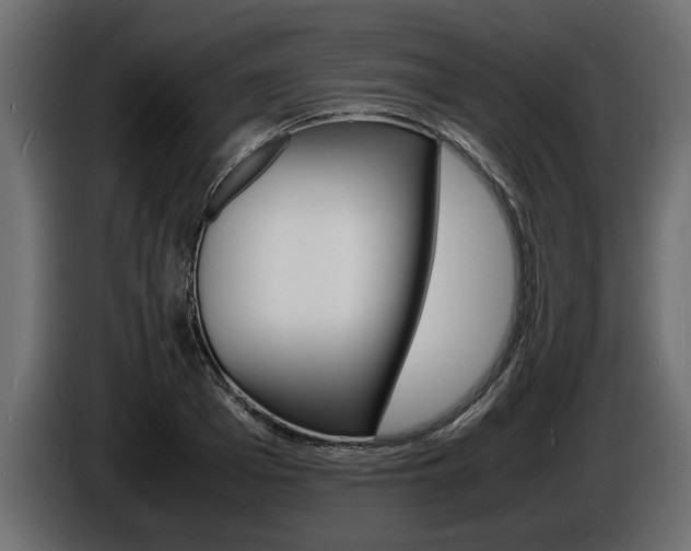 X0000086720985200704130725