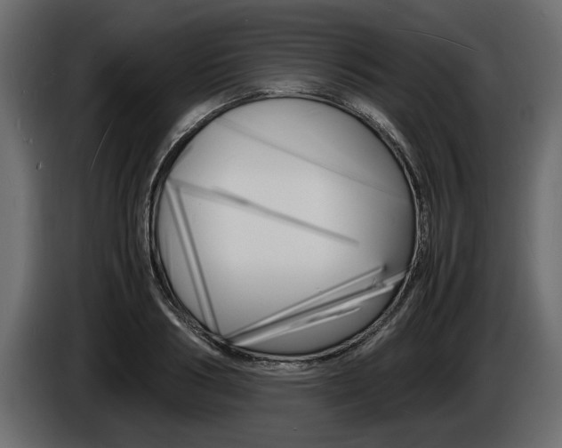 X0000086720986200704130725