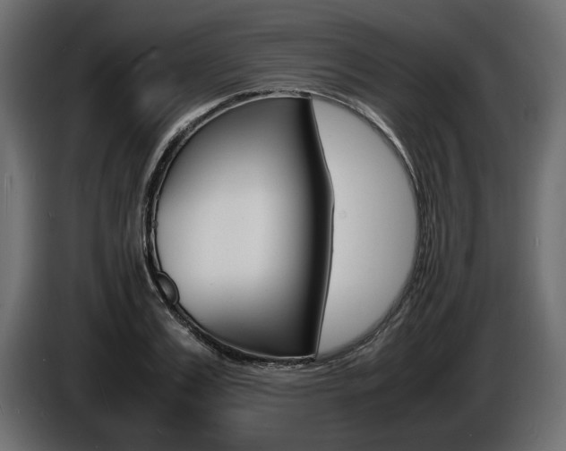 X0000086720987200704130725