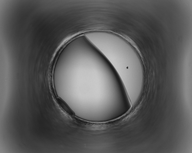 X0000086720989200704130725
