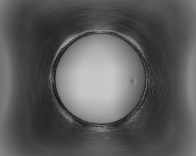 X0000086720990200704130725