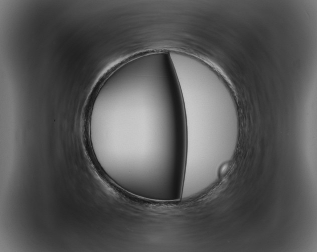 X0000086720991200704130725