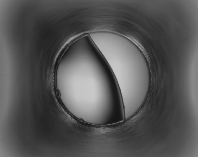 X0000086720992200704130725